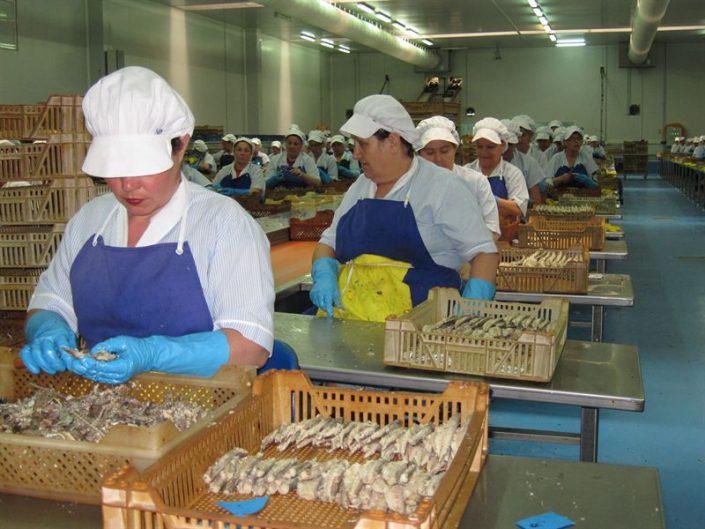 empleo mujer 3